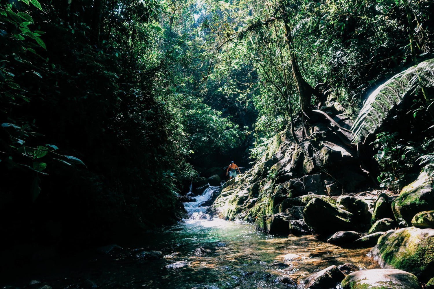 Arenales hiking waterfall envigado to tylko jedna z wielu rzeczy do zrobienia w envigado